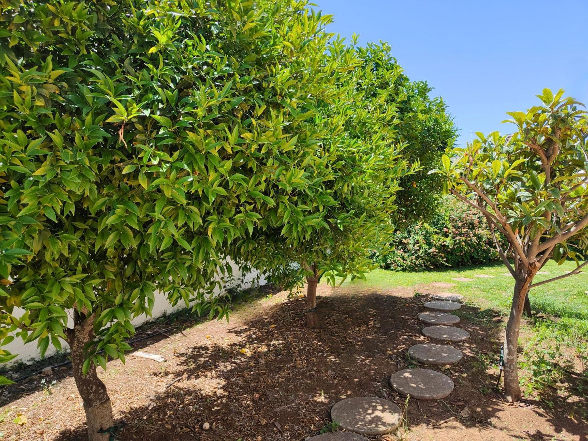 Villa Alfonsa, Fontane Bianche, Siracusa, Private Pool, 10Min From The Beach Exteriör bild